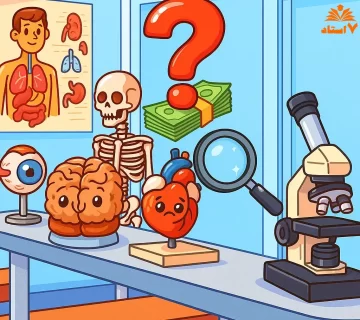 معرفی بهترین شغل ها در زشته تجربی